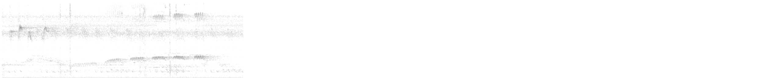 Square-tailed Drongo-Cuckoo - ML633650652