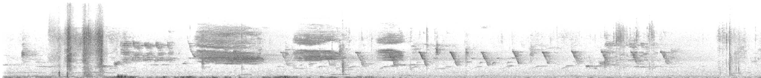 Boat-tailed Grackle - ML633652867