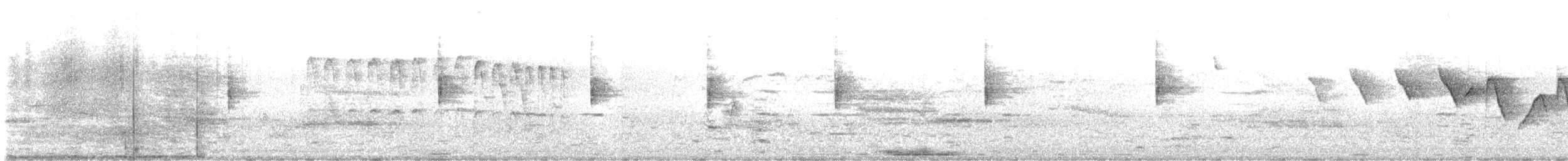 Louisiana Waterthrush - ML633652938