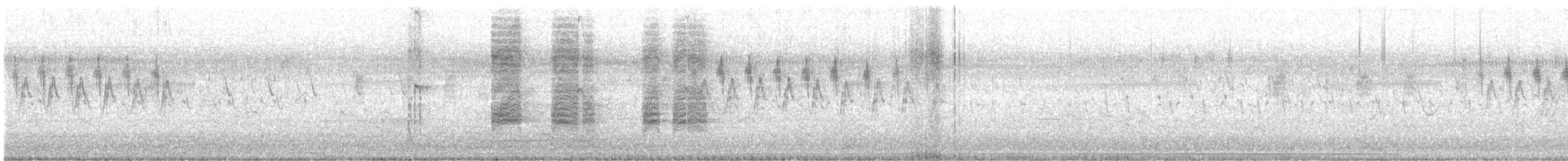 Black Francolin - ML633654145