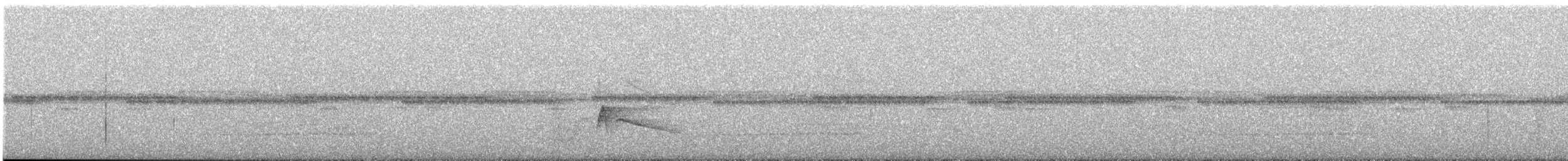 Southern Tropical Pewee - ML633655980