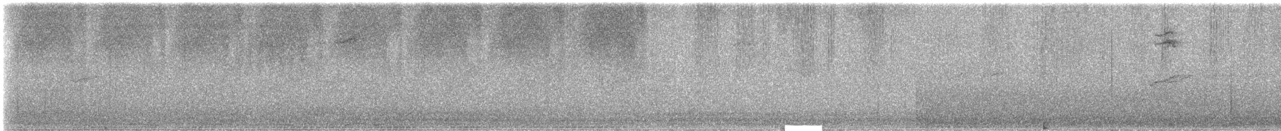 Stripe-winged Grasshopper - ML633656661