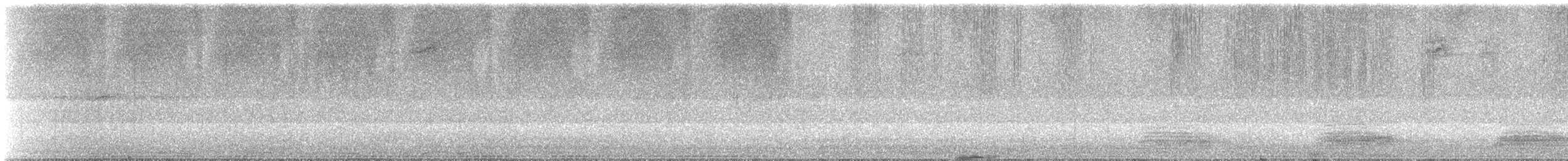 Stripe-winged Grasshopper - ML633656674