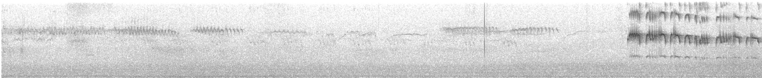 Martinet petit-rollé - ML633657659