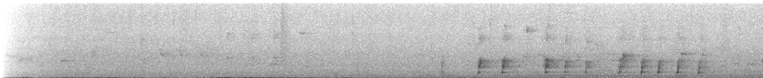 Indian Giant Squirrel - ML633662987