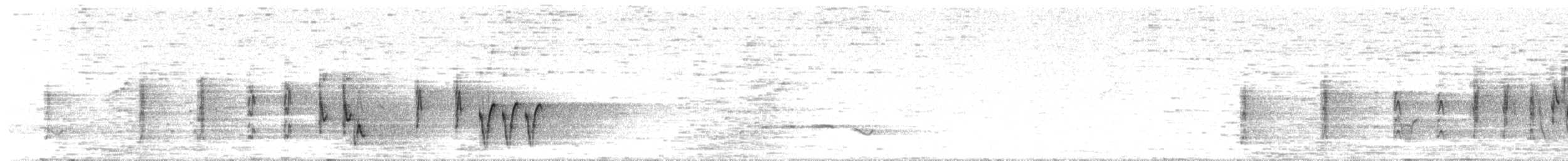 Striated Grassbird - ML633663150