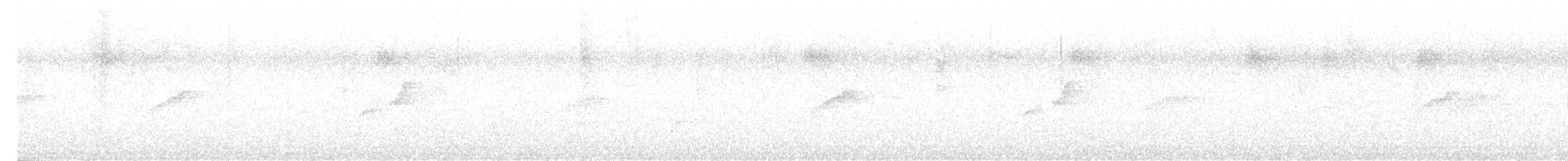 Gray-bellied Spinetail - ML633663686