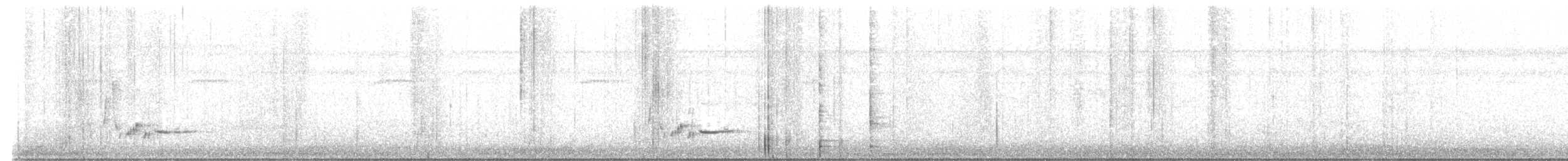 White-bellied Wren - ML633665828