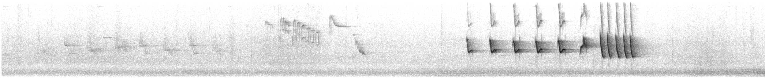 Iberian Chiffchaff - ML633666379