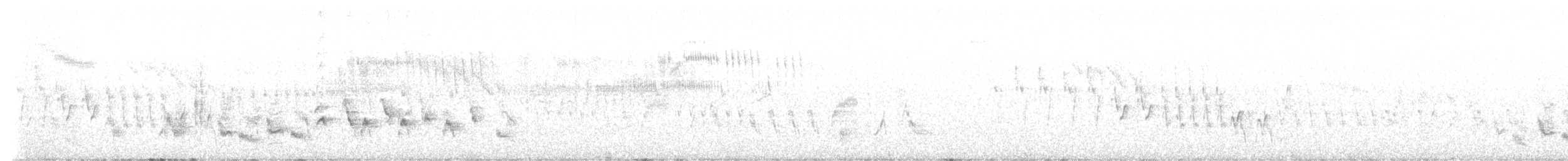 Western Orphean Warbler - ML633667527