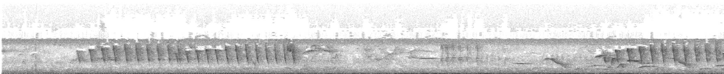 Pacific Antwren - ML633668332