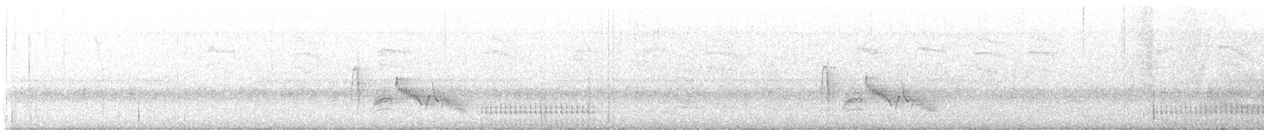 White-eyed Vireo - ML633670238