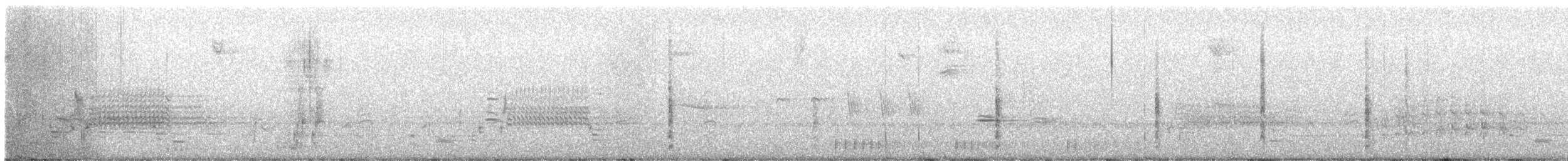 Sphyrapicus sp. - ML633671339