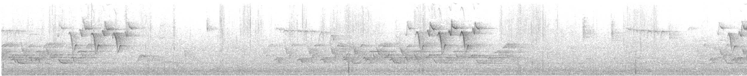 Пісняр горихвістковий - ML633673223