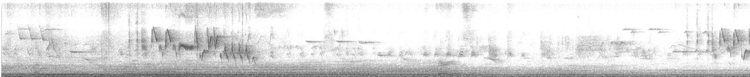 Northern House Wren - ML633676641