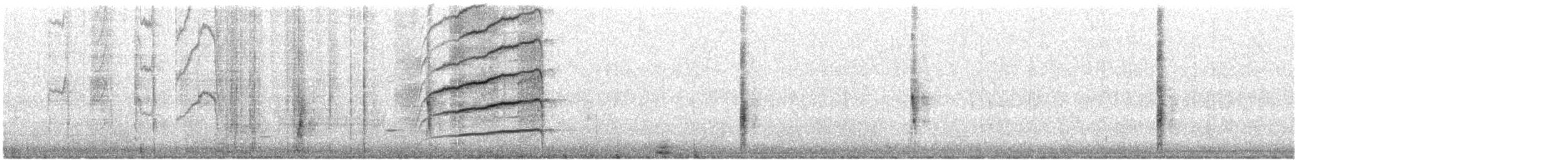 Great-tailed Grackle - ML633678049