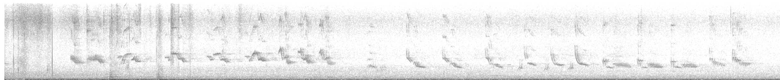 Northern Mockingbird - ML633678118