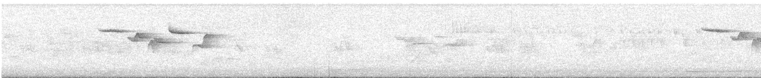 Brown Creeper - ML633678489