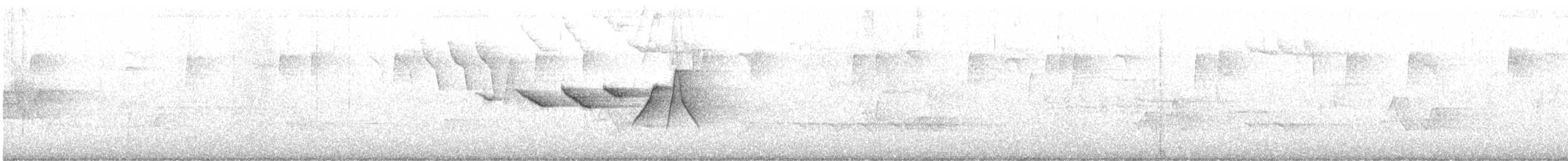 Swainson's Warbler - ML633678860