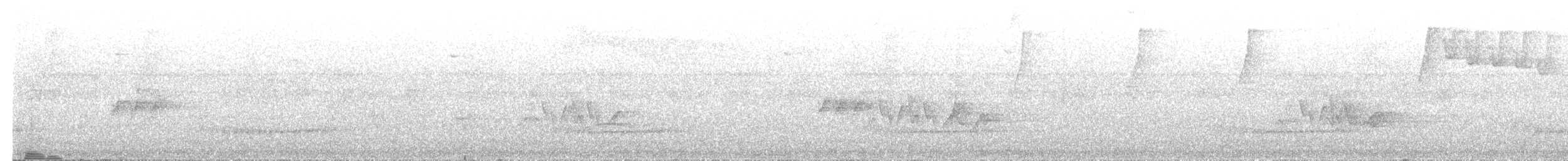Ak Taçlı Tapakola - ML633681935