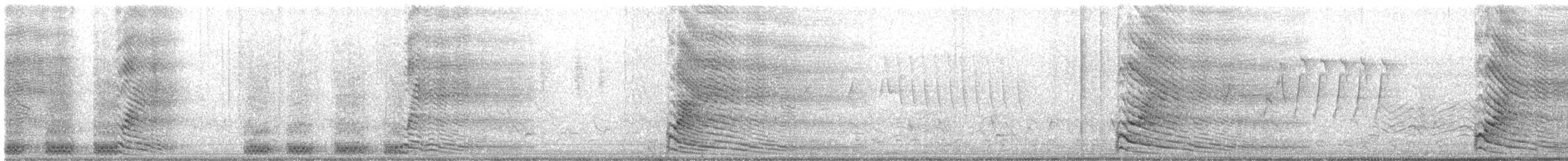 Gray Go-away-bird - ML633693152