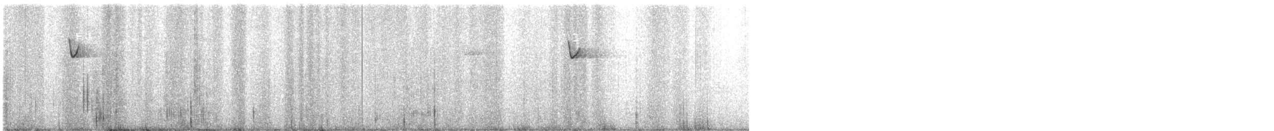 キメジロハエトリ - ML633694407