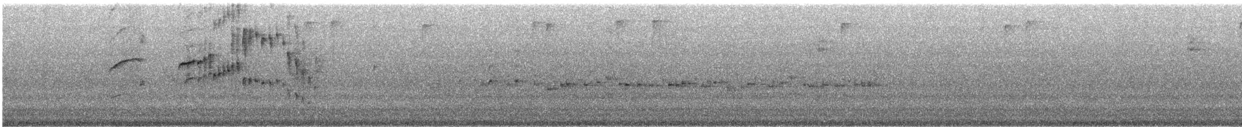 Tyranneau à sourcils blancs - ML633700562