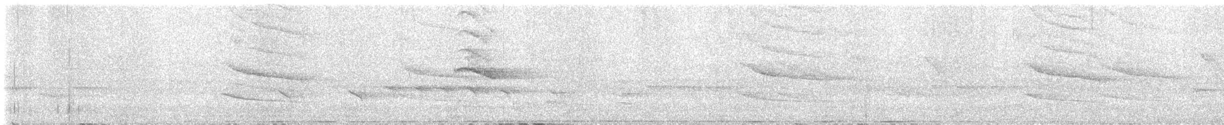 Square-tailed Bulbul - ML633703235