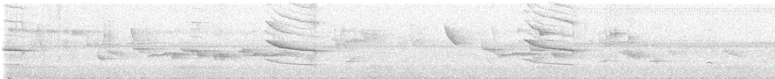 Square-tailed Bulbul - ML633703621