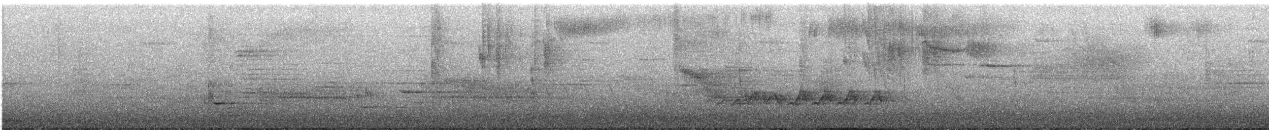 Allen's Hummingbird - ML633704451