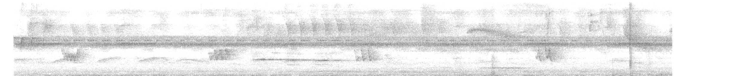 Solitary Tinamou - ML633708601