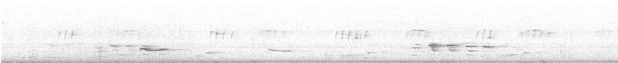 Black-bellied Plover - ML633710411