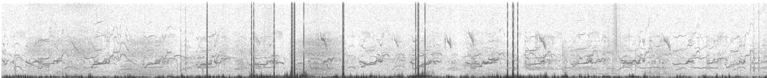 Тураг гогой - ML633711426