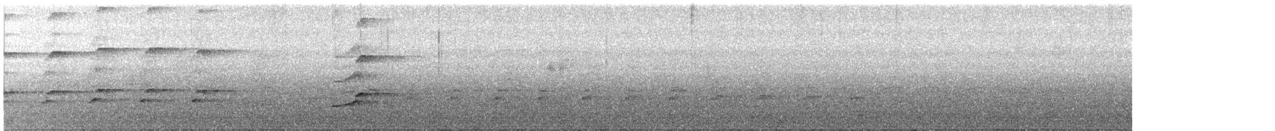 Autour blanc - ML633712891