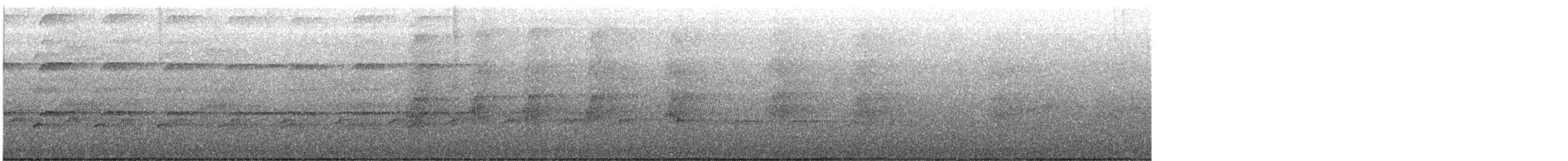 Autour blanc - ML633712892