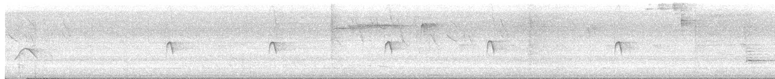 Dot-winged Antwren - ML633715528