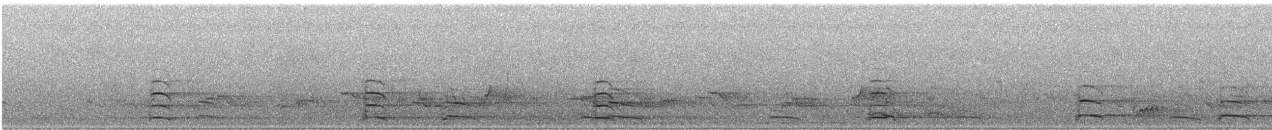 American Herring Gull - ML633718646