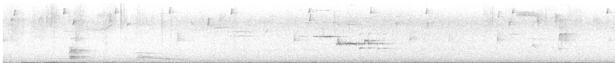 Black-billed Nightingale-Thrush - ML633719970