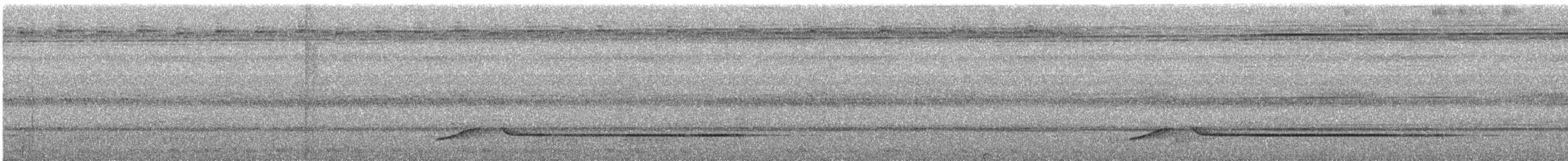 Large Wren-Babbler - ML633723867
