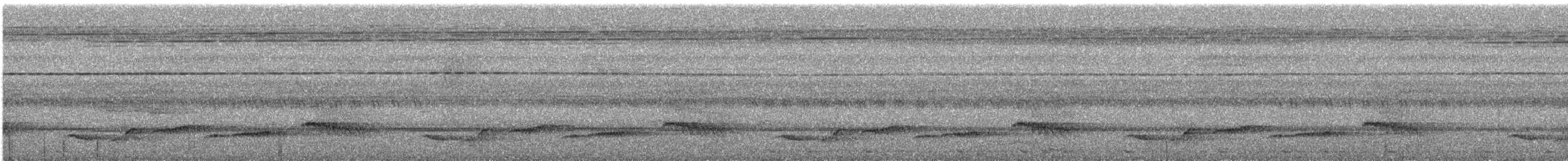 Large Wren-Babbler - ML633723869