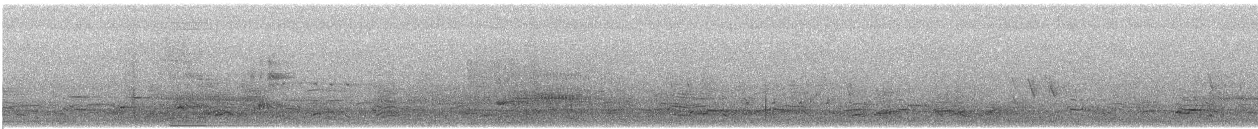 Smergo minore - ML633724291