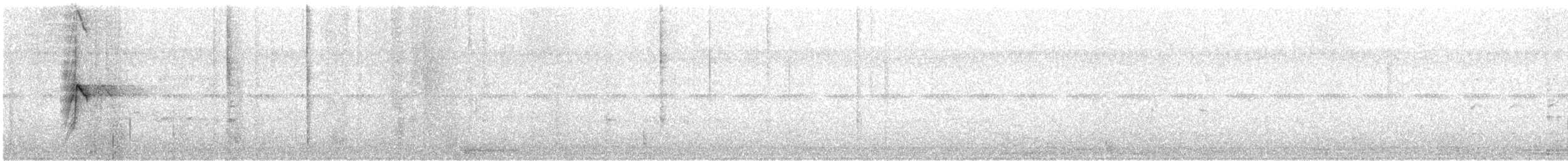 African Pied Wagtail - ML633724729