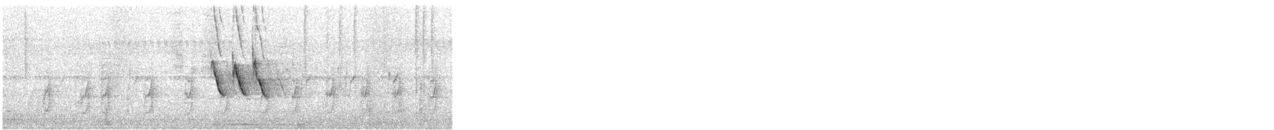 African Pied Wagtail - ML633724740