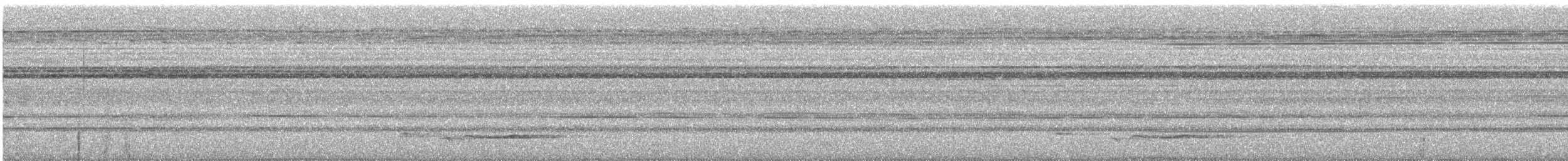 Large Wren-Babbler - ML633724945