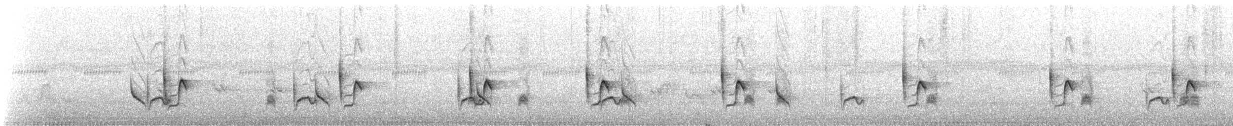 Prinia à sourcils - ML633728053