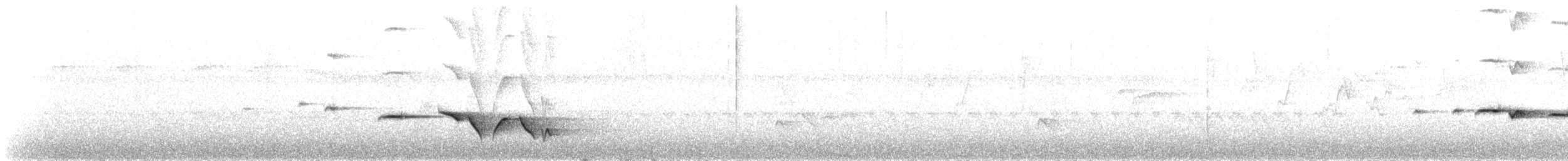 Gray-bellied Tesia - ML633731690