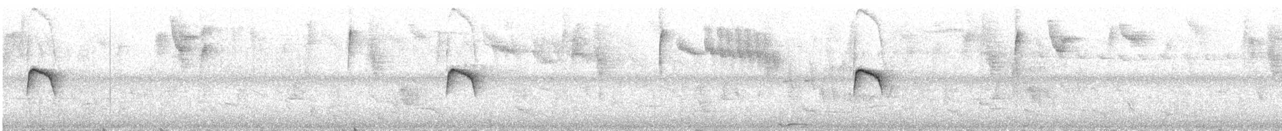 Coopmans's Elaenia - ML633734035