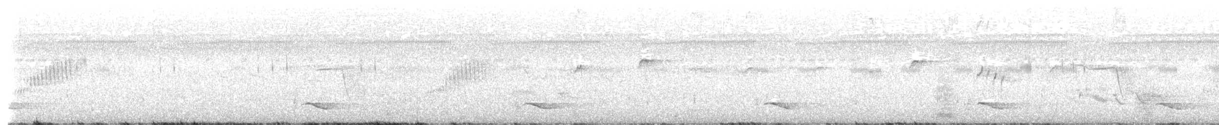 Buztanikara argia - ML633736273