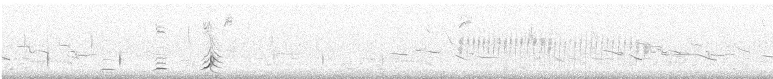 Northern Bobwhite - ML633741738