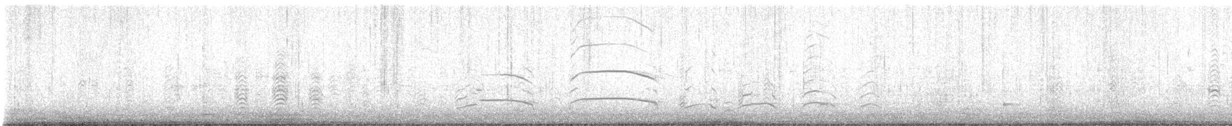 Goéland à bec court - ML633741883